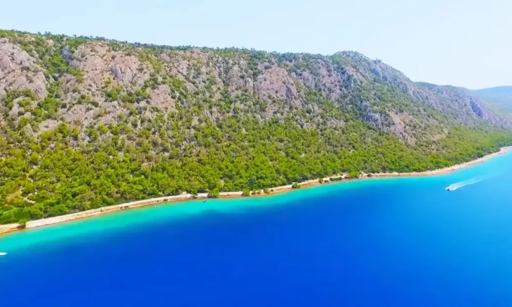 Προεπισκόπηση εικόνας άρθρου Blog